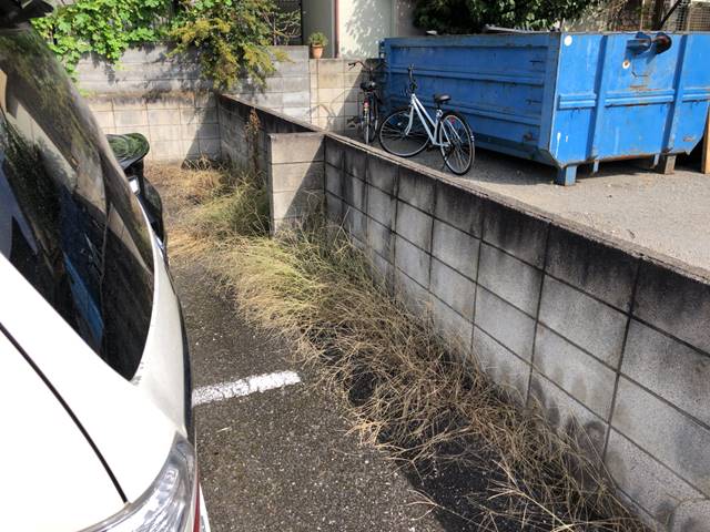 東京都葛飾区南水元の下草撤去作業前の様子です。