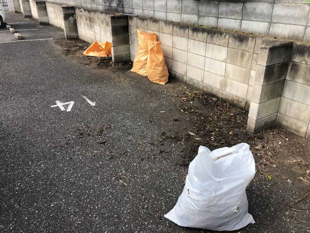東京都葛飾区南水元の下草撤去作業中の様子です。