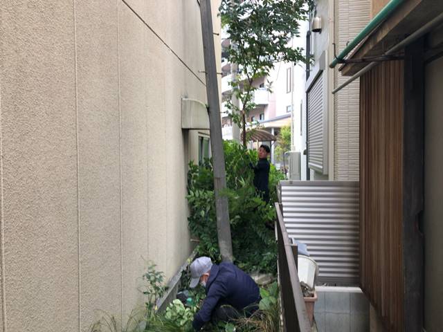 東京都北区豊島の樹木伐採撤去作業前の様子です。
